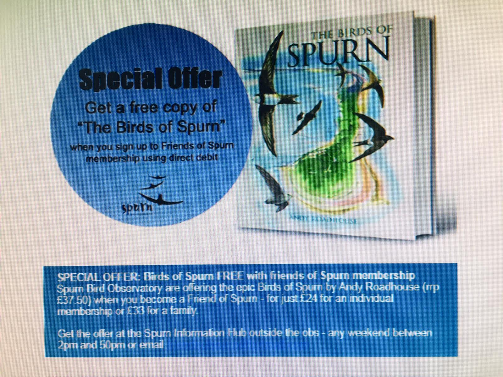 A Very Special Offer